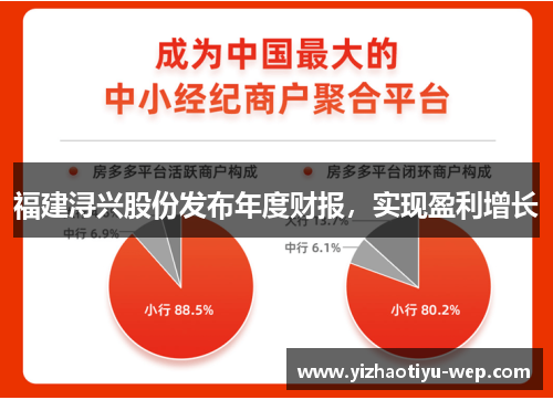 福建浔兴股份发布年度财报，实现盈利增长